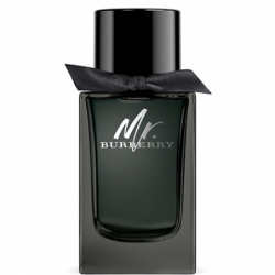 Mr Burberry Eau de Parfum