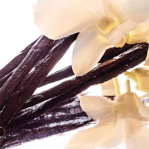 Shalimar Eau de Toilette 2