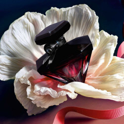La Nuit Trésor Eau de Parfum Florale Femme (5)
