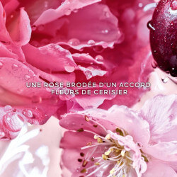 La Petite Robe Noire Rose Cherry Eau de Parfum (3)