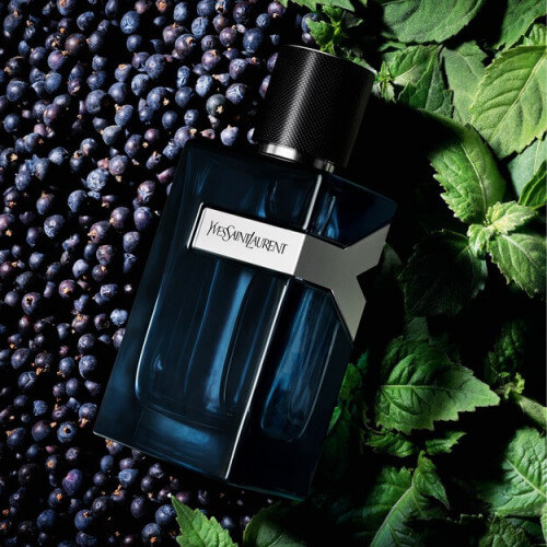 Y Men Eau De Parfum Intense 2
