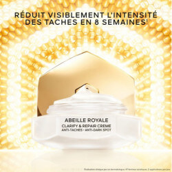 Abeille Royale (3)