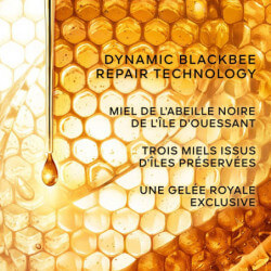 Abeille Royale (5)