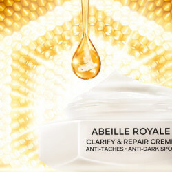 Abeille Royale (7)