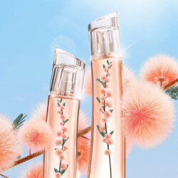 Flower Ikebana Mimosa By Kenzo Eau De Parfum Florale Poudrée (6)