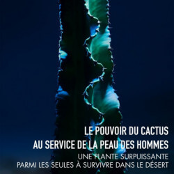 Sauvage Le Nettoyant Nettoyant Visage - Charbon Noir Et Cactus (4)