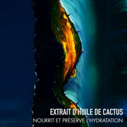 Sauvage Le Sérum Sérum Visage Au Pouvoir Du Cactus (4)