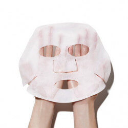 BB Shot Mask (2)