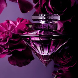 La Nuit Trésor le Parfum (4)