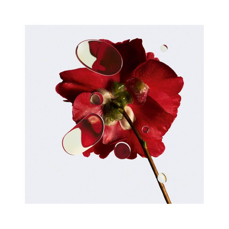 N°1 DE CHANEL 5