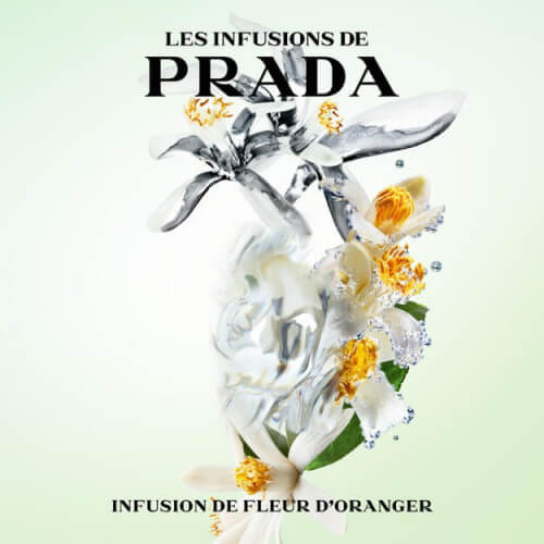 Infusion De Fleur D'Oranger Eau De Parfum Florale Fuitée Douce 4