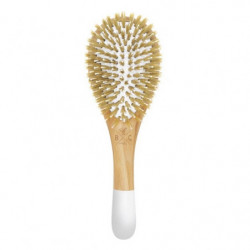 Brosse Démêlage Et Brillance