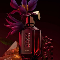 Boss The Scent Elixir Parfum Intense Pour Femme (2)