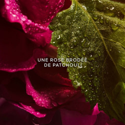 La Petite Robe Noire Eau De Parfum Absolue (3)