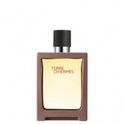 Terre D'Hermès Eau De Toilette Vaporisateur De Voyage