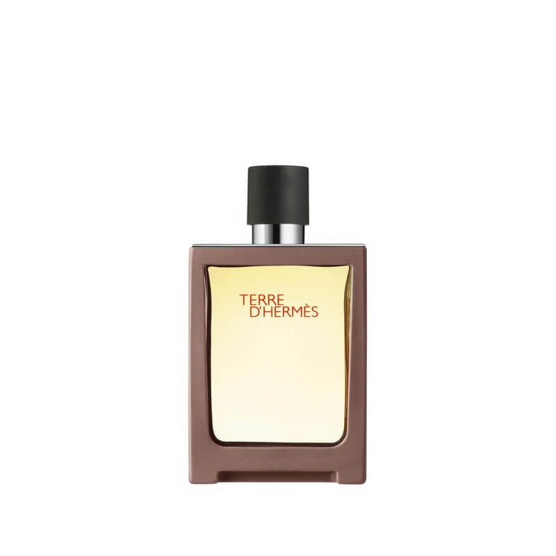 Terre D'Hermès Eau De Toilette Vaporisateur De Voyage