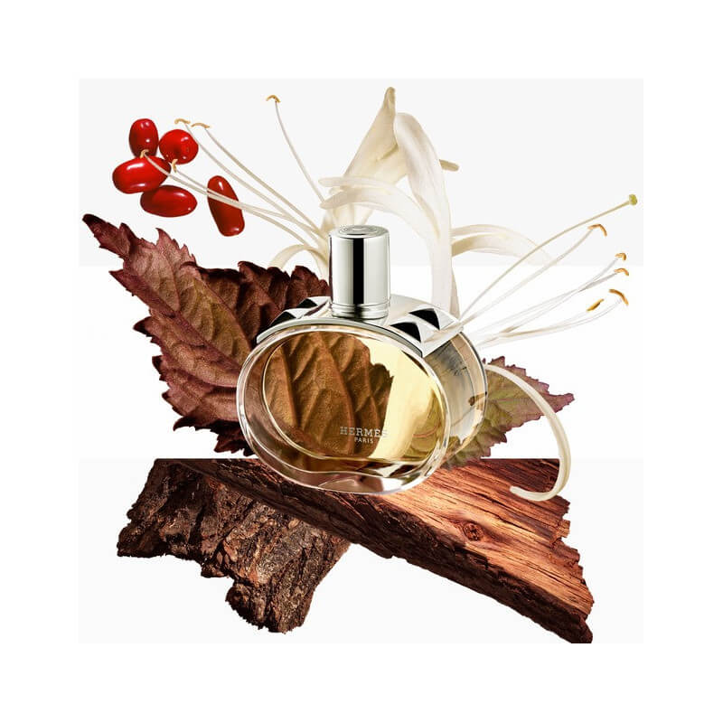 Barénia Eau De Parfum 4