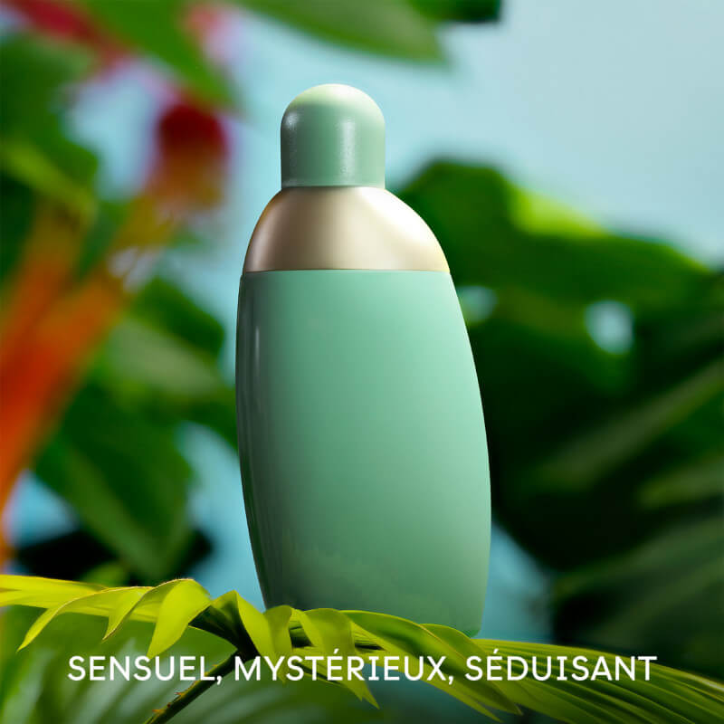 Plantes Eden Parfums Plantes Parfums Fragrance Diffuser 500ml