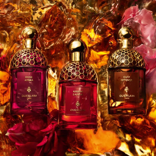 Les Absolus Allegoria Oud Essentiel - Eau De Parfum 6
