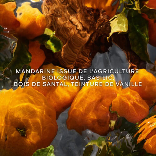 Aqua Allegoria Forte Mandarine Basilic Eau De Parfum 3