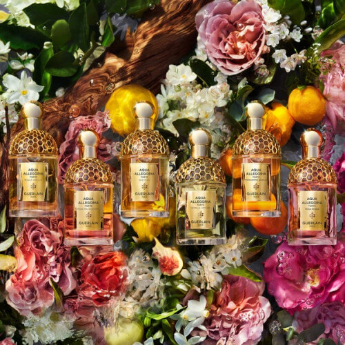 Aqua Allegoria Forte Nerolia Vetiver Eau De Parfum 8