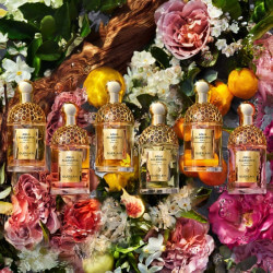 Aqua Allegoria Forte Bosca Vanilla Eau De Parfum (7)