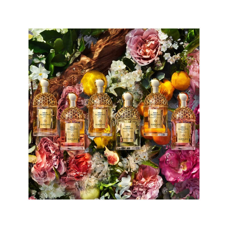 Aqua Allegoria Forte Bosca Vanilla Eau De Parfum 7