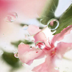 ô de Lancôme Ôver The Top Eau de Toilette (4)