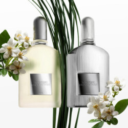 SIGNATURE - Grey Vetiver Parfum (2)